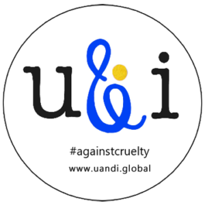 U-and-I-logo-footer-logo